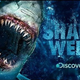 Illustration for article titled This Weeks TV: How Terrible Will Shark Week Be This Year?